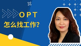 OPT怎么找工作？