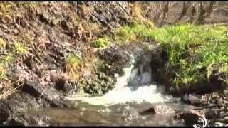 ერთი დღე სოფელში / ცეკვა / 31 03 2015