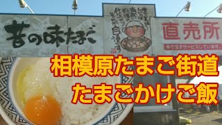 【たまごかけご飯】相模原たまご街道の新鮮卵でごはんおかわり❗