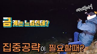 한달만에 찾은 갯바위에 금볼락이..???