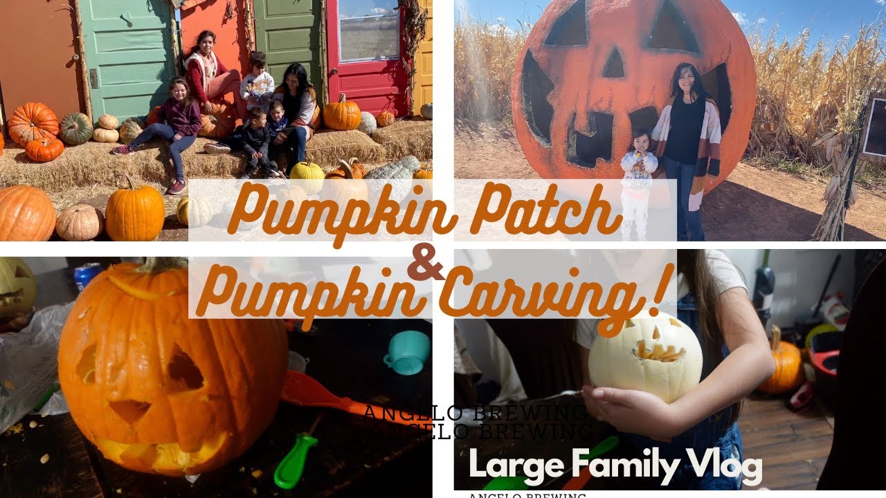 Fun Day At The Pumpkin Patch Pumpkin Carving Large Family Vlog