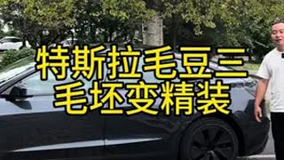 装修特斯拉毛豆三 特斯拉 特斯拉model3 特斯拉车主 特斯拉配件 特斯拉改装