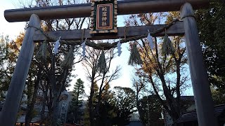 癒される｢蛇窪神社｣に白蛇種銭を授かりに来ました(知る人ぞ知る金運最強神社)