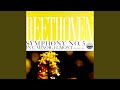 Symphony No. 5 in C Minor, Op. 67: IV. Allegro