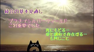 [統合]基本に戻って楽に手放し！100の位置+プラチナシルバーフィールド