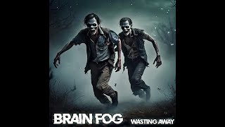 Brain Fog - Wasting Away guitar play though vid