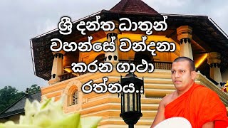 ශ්‍රී දන්ත ධාතූන් වහන්සේ වන්දනා කරන ගාථා රත්නය | Ven. Leloye Sobhitha Thero