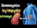 Ibimenyetso 10 byakwereka ko impyiko zawe zirwaye