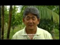 Sistema de agricultura sem queima - Projeto Tipitamba  - Embrapa Amazônia Oriental