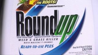 Product of the Week: Roundup Weed and Grass Killer