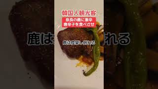 【激怒】韓国人が奈良の鹿に唐辛子食べさせ、鹿は痙攣し倒れる