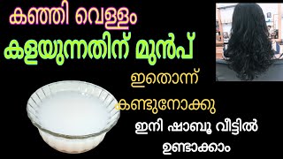 തൊടീലുള്ള ഈ ചെടി മാത്രം മതി തലമുടിയിലെ പ്രശ്നങ്ങൾ പരിഹരിക്കാൻ