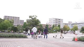 仙台市泉区泉中央 七北田公園