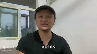 冰宝乐乐回老家工作了，留下小猫咪独自吃猫粮，兄弟们生活太难了