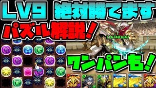 この動画を見ると絶対に勝てます。8月クエストLV9 完全解説 知らないと損　【パズドラ】