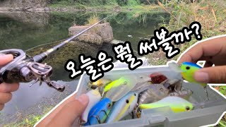 가을배스낚시 크랭크베이트 무빙루어 BassFishing EP134