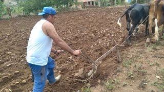 A CHUVA CHEGOU E OS TRABALHOS TAMBÉM VENHÃO VER OQUE EU FIZ HOJE!!!