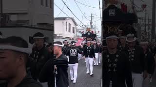 岸和田だんじり祭　別所町　2024.9.15 午前