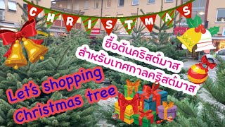 ซื้อต้นคริสต์มาสสำหรับเทศกาลคริสต์มาส ...  Shopping the Christmas tree