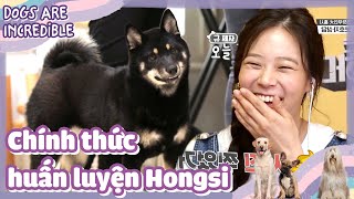 [CCTG Tập 29 #6]ENG/VIETSUB|Từ giờ các cô chủ phải bớt yêu Hongsi lại rồi|200525 KBS WORLD TV