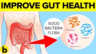 9 Ways To Improve Your Gut Health