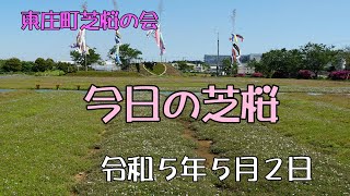 2023-05-02 東庄町ふれあいセンター 今日の芝桜 4K