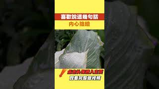 越是內心陰暗的人，越喜歡說這幾句話，遇到一定要遠離！【墨羽國學】#識人術#國學智慧#老話說得好#為人處世#古人的智慧#識人術#為人處世#人際關系