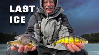 Last Ice Before the Storm | Late Season Panfish