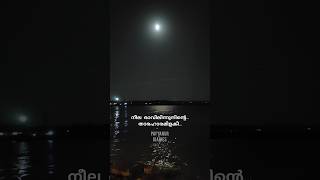 Neela ravil ഈ നിലാവിന് ഒരു പ്രത്യേകത ഉണ്ട്... #neelaravil #melody