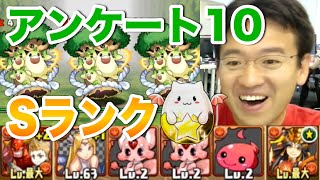 【パズドラ】アンケートダンジョン10 Sランククリアでたまドラゲットを狙う！