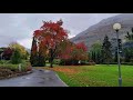 autumn in norway ฤดูใบไม้ร่วงในนอร์เวย์