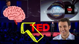 The Brain of a Procrastinator - Tim Urban Ted Talk
