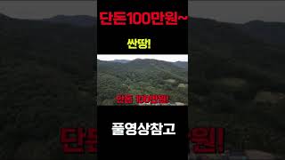 싼땅매물 단돈100만원 ~자연인 묘터 추천 #shorts  -찾경공-