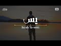 Surah Ya-seen | سورة يس كاملة بصوت هادئ ومريح للنفس للقارئ أحمد حمادي