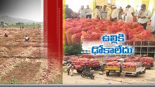 కర్నూలు మార్కెట్‌లో ఆశాజనకంగా  ఉల్లి ధరలు | 21st Sept '20 || JaiKisan AP