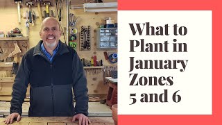 What seedlings to start in January in Zones 5 and 6 - January Garden Planting Guide