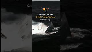 dubi hui kashti bhi dariya sa nikaali hai qwwali | dubi hui kashti bhi dariya sa nikaali hai titanic