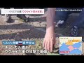 クリミア北部の橋「ウクライナ側が攻撃」と地元親ロシア派　英供与長距離巡航ミサイル使用と主張｜tbs news dig