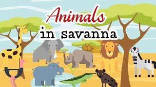 Savanna animals - wild animals flashcards - Learn English vocabulary with pictures