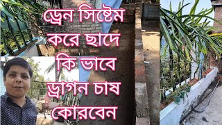 ছাদে নতুন পদ্ধতিতে ড্রাগন ফল চাষ ।। Dragon fruit cultivation on rooftops using a new method !