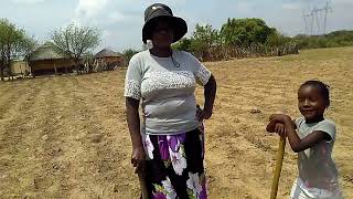 Zim Vlog /How We Plant Maize🌽At My Village Part 1