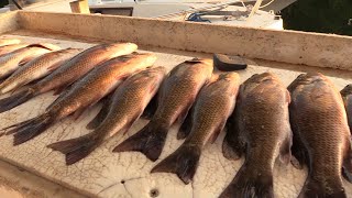 snapper fishing in the Florida Keys! {Limited Out} Islamorada