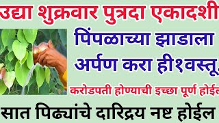 उद्या शुक्रवार पुत्रदा एकादशी पिंपळाच्या झाडाला अर्पण करा ही१वस्तू सात पिढ्यांचे दारिद्रय नष्ट होईल.