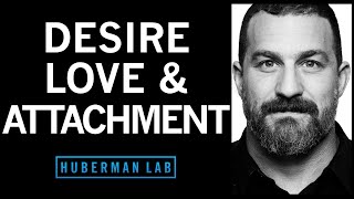 The Science of Love, Desire and Attachment