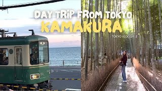 Day trip from Tokyo to KAMAKURA + ENOSHIMA⊹ tokyo japan vlog ep. 3