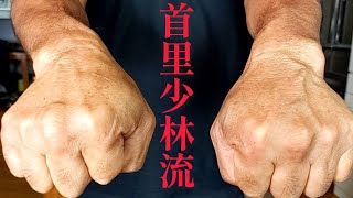 #1【武神継承〜達人の魂】首里少林流の伝説の突きが唸る！握らない拳！圧縮、逆流、脱力とは…