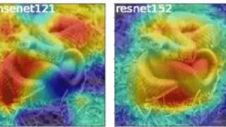 visualizing EfficientNet