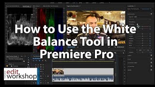 How to Use the White Balance Tool in Premiere Pro