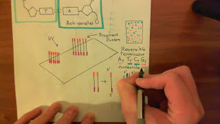 Next Generation Sequencing (NGS) Part 3