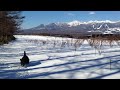 雪の那須高原　大谷の丘でワンコと遊ぶ